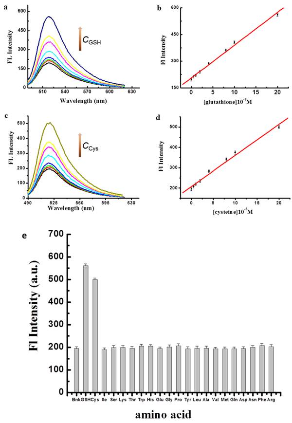 Molecular beacon emission spectra and response to amino acids
