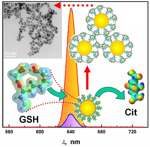 RELS for glutathione-capped gold nanoparticles