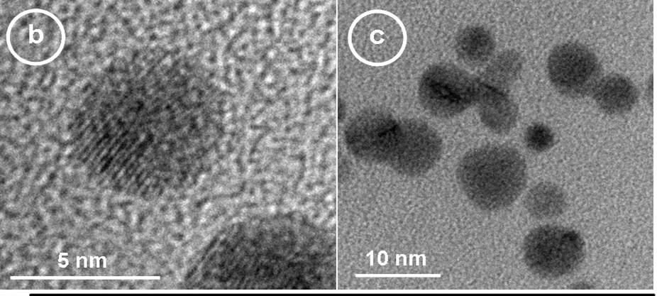 Transmission Electron Microgaphs of gold nanoparticles