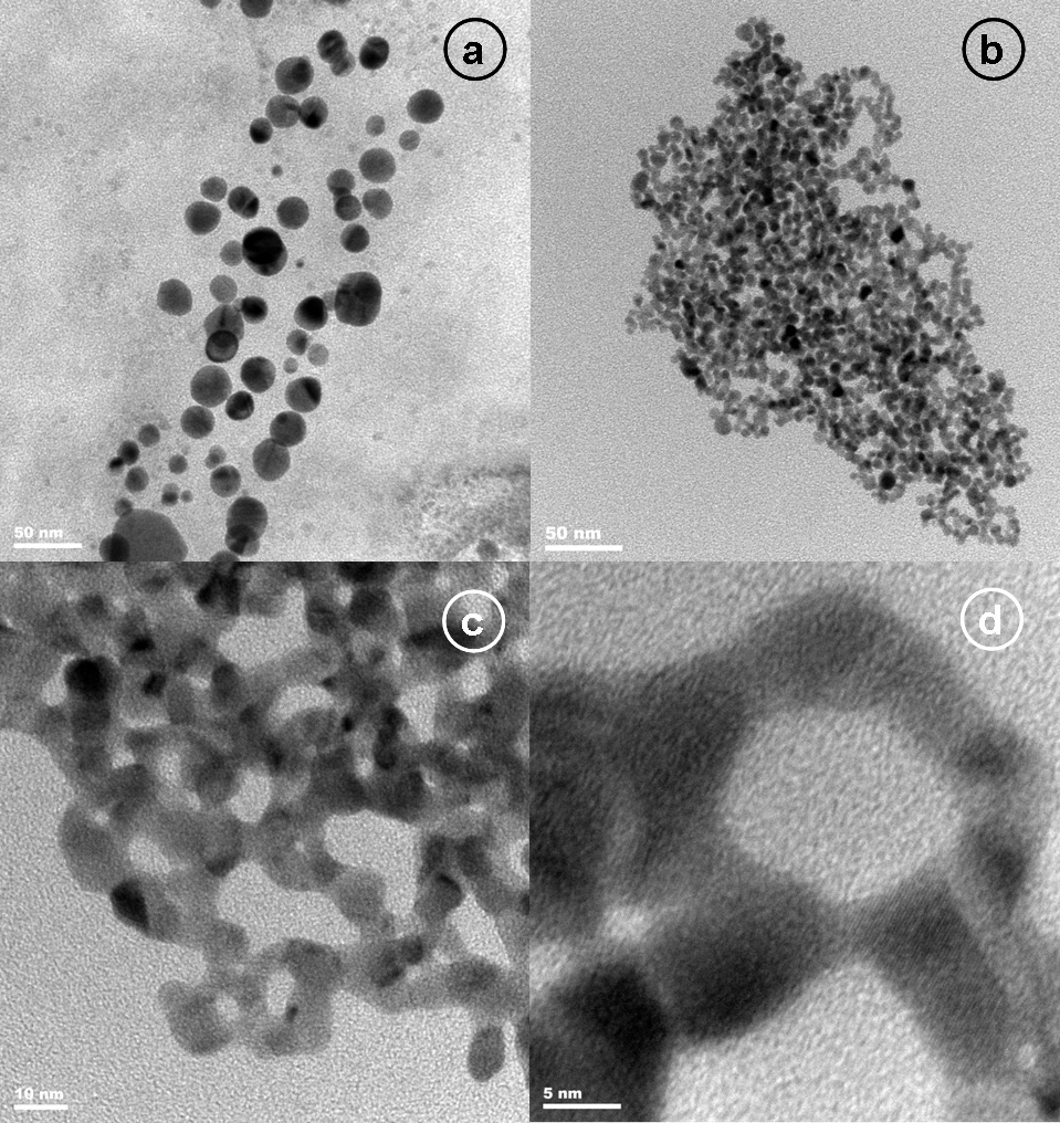 Transmission Electron Micrographs of gold nanoparticle assemblies