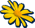 sunflowers_webpage003002.gif